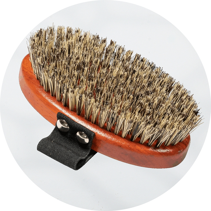 Dog bristle hot sale